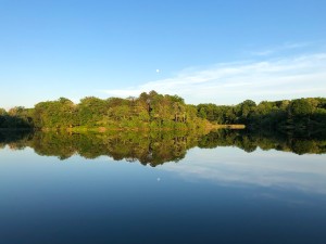 horseshoe lake. lucy photo